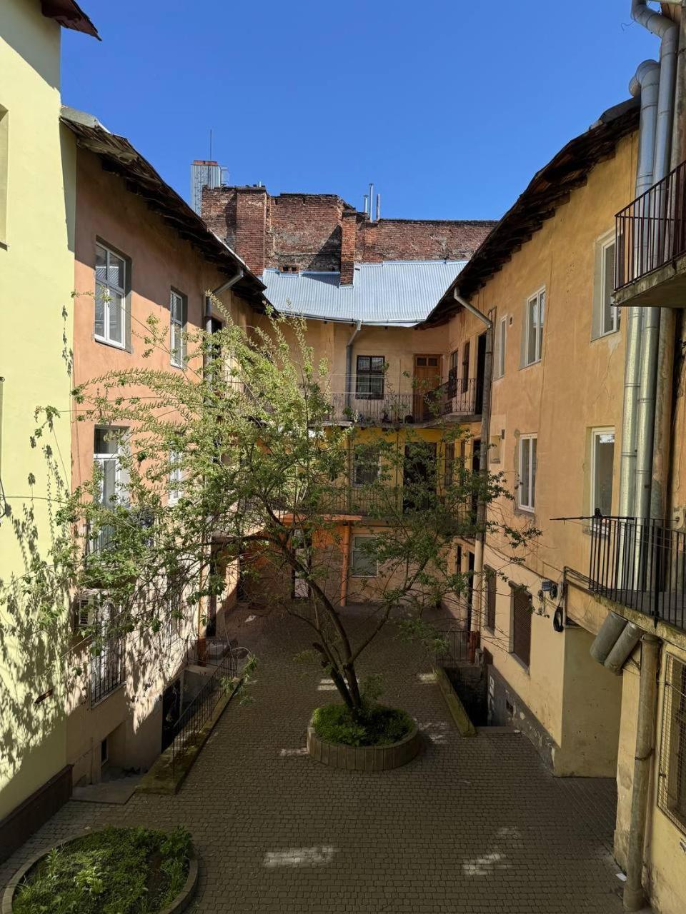 Elite Apart Near Svoboda Avenue Lviv Extérieur photo